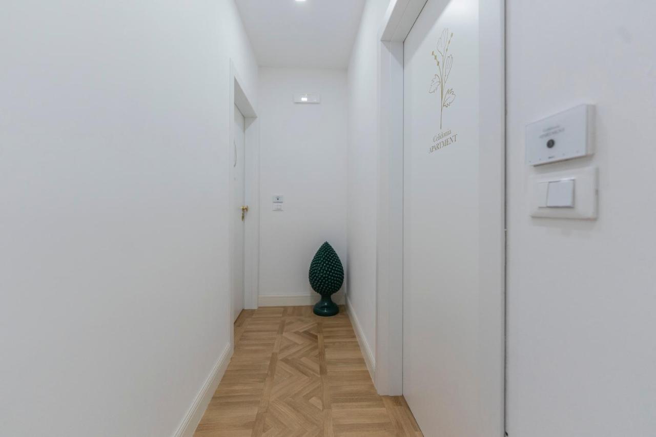 Aldrovandi Luxury Suites And Apartment Bologna Ngoại thất bức ảnh